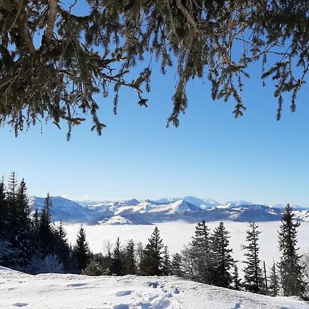 Ferienwohnung Floriani Saint Wolfgang المظهر الخارجي الصورة