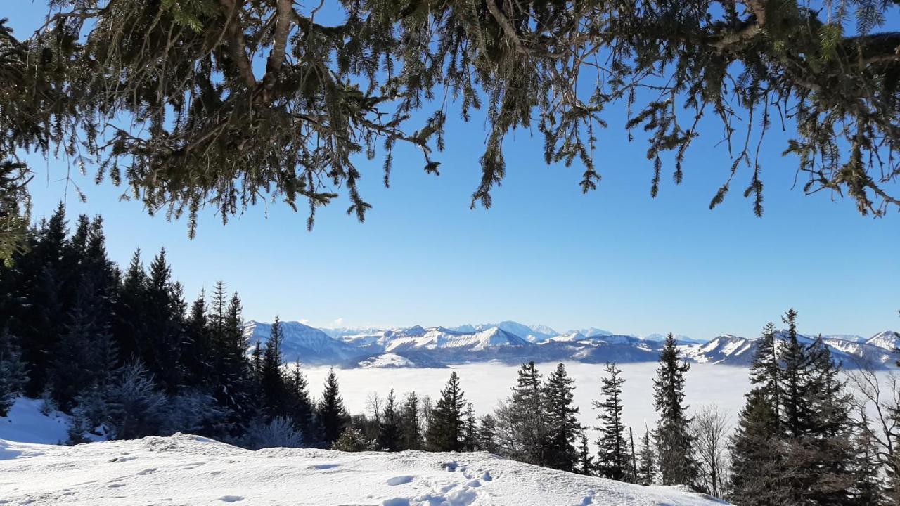Ferienwohnung Floriani Saint Wolfgang المظهر الخارجي الصورة
